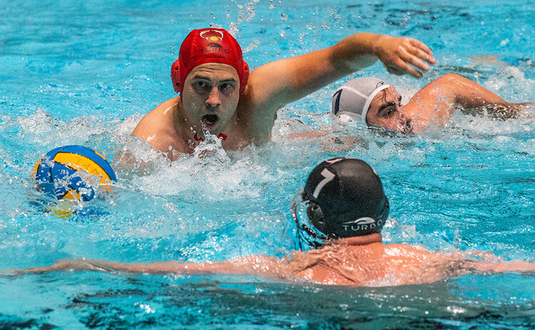 MANCHESTER_v_SHEFFIELD,_B19V4628-1.jpg